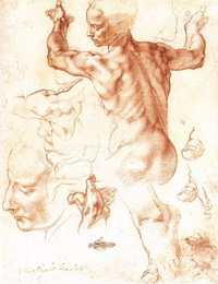 Подготовительные рисунки (Микеланджело)